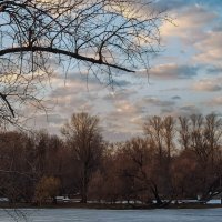 Весенние зарисовки в парке Победы. :: Лилия *