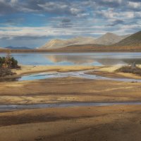 Посреди песчаных дюн :: Дмитрий Шишкин Посреди песчаных дюн :: Дмитрий Шишкин