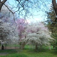 Весенний  пейзаж :: Валентин Семчишин