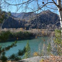 Катунь :: Валерий Медведев