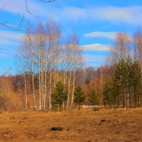 ... :: Владимир иванов