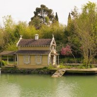 Где лебеди живут :: Pavel Blashkin