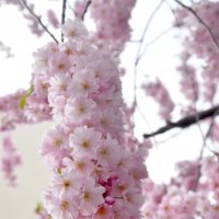 лейпциг2026 :: Алексей Короткевич