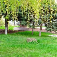 Начало! :: Надежда 