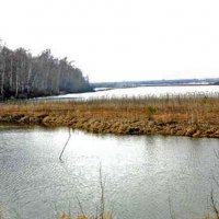 У поселка Юганская Обь- разлив реки! :: Владимир 