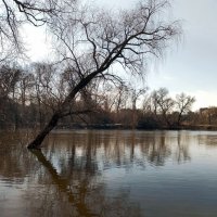 *** :: Валентина Береснева