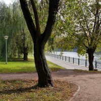 Большой Графский пруд :: Игорь Белоногов