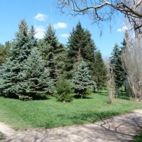 Весенний  пейзаж :: Валентин Семчишин