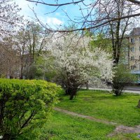 Ростовская весна :: Нина Бутко Ростовская весна :: Нина Бутко