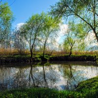 Апрель. :: Владимир