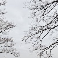 Ранняя весна :: Хватова Марина 