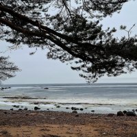 Весенний пейзаж :: Хватова Марина 