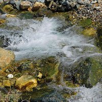 Янтерек :: Владимир Кириченко