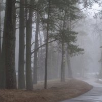 Туманное утро...... :: Юрий Цыплятников