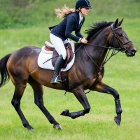 Конный спорт :: СЕРГЕЙ ФИЛОЧКИН