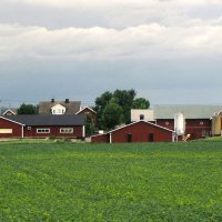 Ферма Тельестад (Täljestad) :: Александр Ильчевский Ферма Тельестад (Täljestad) :: Александр Ильчевский