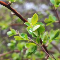 ,,, :: Сергей Тимоновский