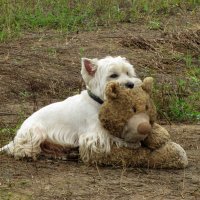 Друзья :: ИРЭН@ .