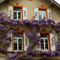 Дом :: Юрий. Шмаков