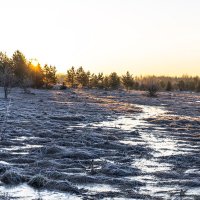 Весеннее утро.Заморозок. :: Сергей Ц