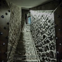 Вперед и вверх... :: Наталья Rosenwasser Вперед и вверх... :: Наталья Rosenwasser