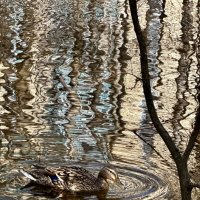 Городская дичь!) :: Любовь 