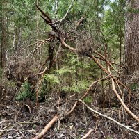 Беспорядок… :: Любовь 