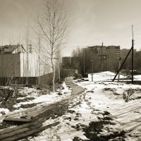 Фотография :: Денис Безногов