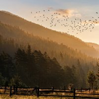 Соавторство с ИИ :: Роман Савоцкий