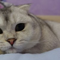 Размышления. :: Марина Леонидовна