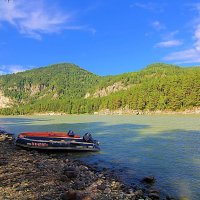 Катунь,Горный Алтай :: Владимир Кириченко