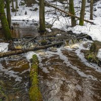 Ручей в апреле :: Сергей Цветков