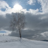 Апрель :: Сергей Герасимов