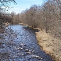 Река Гороховка. :: Ольга 