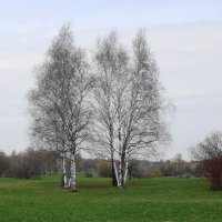 Апрельские зарисовки :: Рита Симонова