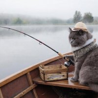 Котофеич на рыбалке :: СЕРГЕЙ ФИЛОЧКИН