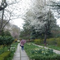 А  дождь  идёт :: Валентин Семчишин