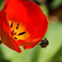 Ну здравствуй,вот и я :: Юрий. Шмаков