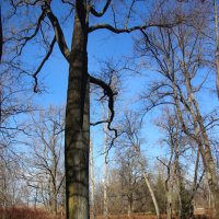 Парк Александрия :: Наталья Герасимова