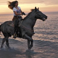 По морю галопом :: Valziwa 