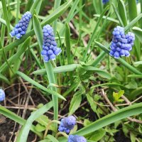 ,,, :: Сергей Тимоновский