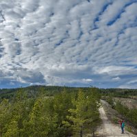 Под весенним небом :: Наталья Димова