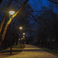 В Вечернем Парке :: юрий поляков