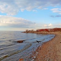 Залив полностью очистился ото льда! :: Лия ☼