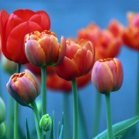 14 апреля :: Михаил Бибичков