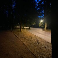 Вечер :: Андрей Л. В.