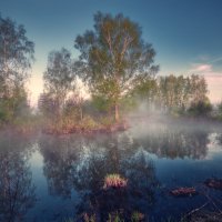 Сход воды ... :: Roman Lunin