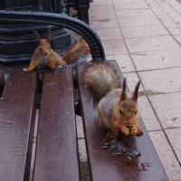 Всем надо)) :: Nataly St. 