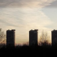 "Человейники" :: Максим Орлов