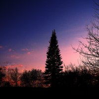 Апрельский вечер :: Людмила Смородинская